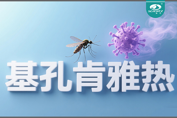 基孔肯雅熱疫情升級！新芝生物硬核技術(shù)助力病毒精準診斷