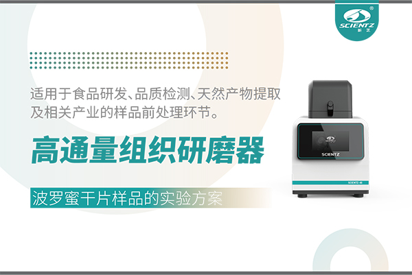 高通量組織研磨器處理波羅蜜干片樣品的實驗方案