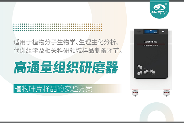 冷凍型高通量組織研磨器處理植物葉片的實驗方案