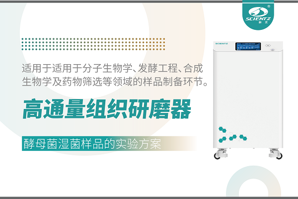 冷凍型高通量組織研磨器處理酵母菌濕菌體的實驗方案