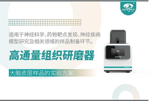 高通量組織研磨器處理大腦皮層樣品的實驗方案